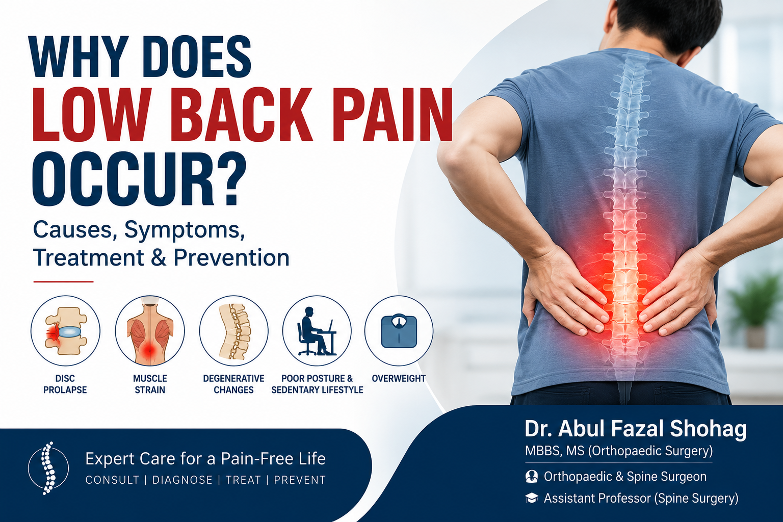 Why Does Low Back Pain Occur? Causes, Symptoms, Treatment & Prevention